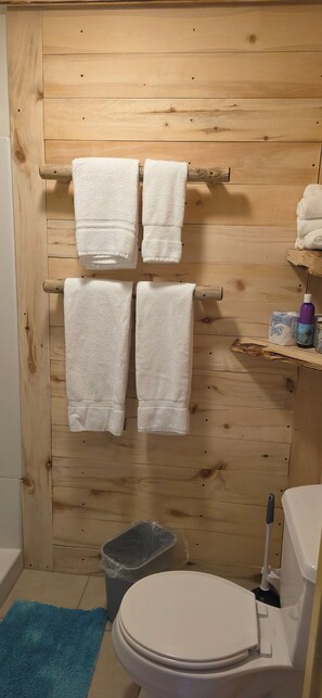 Hair dryer, towels, soap, toilet paper