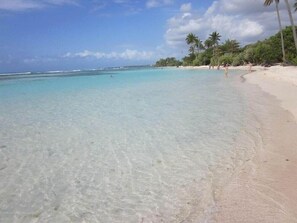A beach with clear turquoise water, sandy shore, and palm trees.