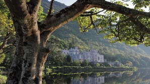 A castle by a lake with a large tree in the foreground. - Clarin Rest, luxury private room, Clarinbridge Wild Atlantic Way, Galway. (Co Galway)