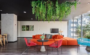 基本開放式客房 | 起居區