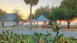 A park with a gazebo, a palm tree, and a Christmas tree.