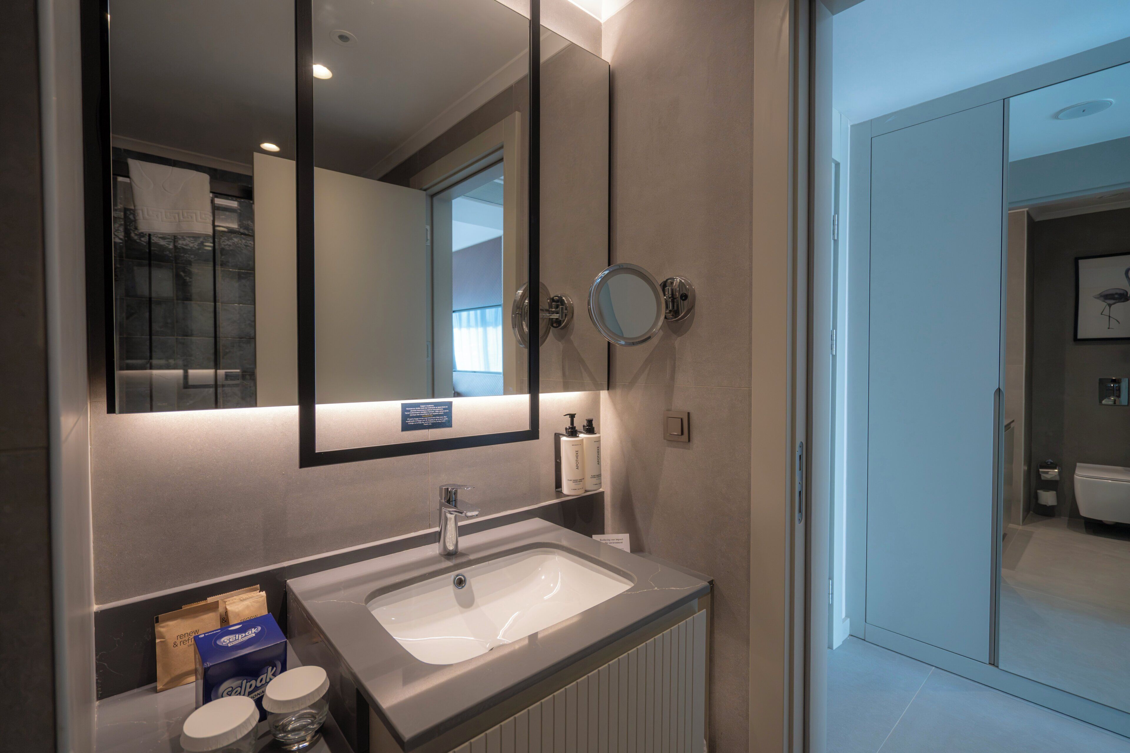 A modern bathroom with a large mirror, a sink, and a toilet visible in the adjacent room.