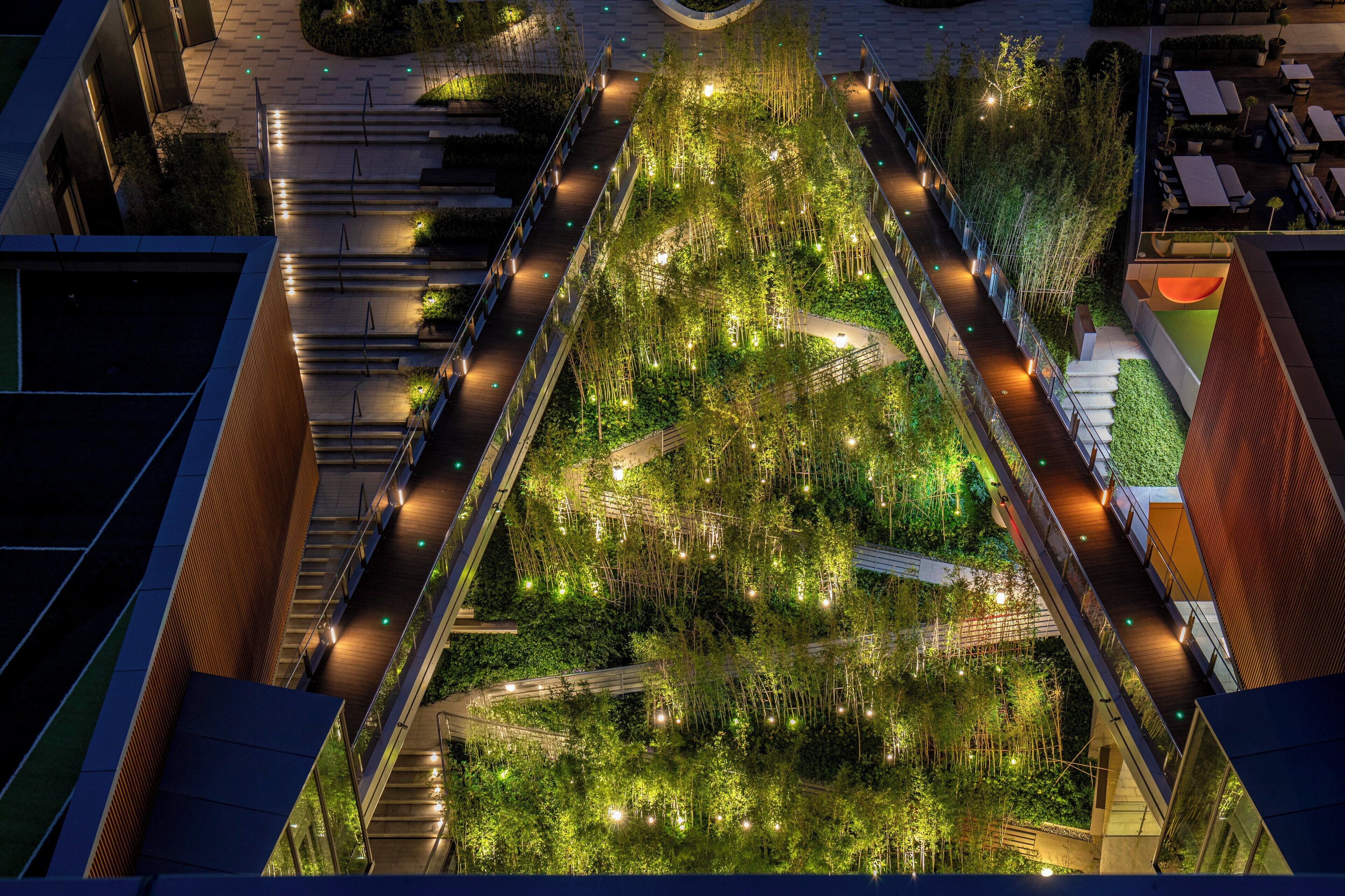 A rooftop garden with a central pathway surrounded by greenery, accessible by stairs and walkways.