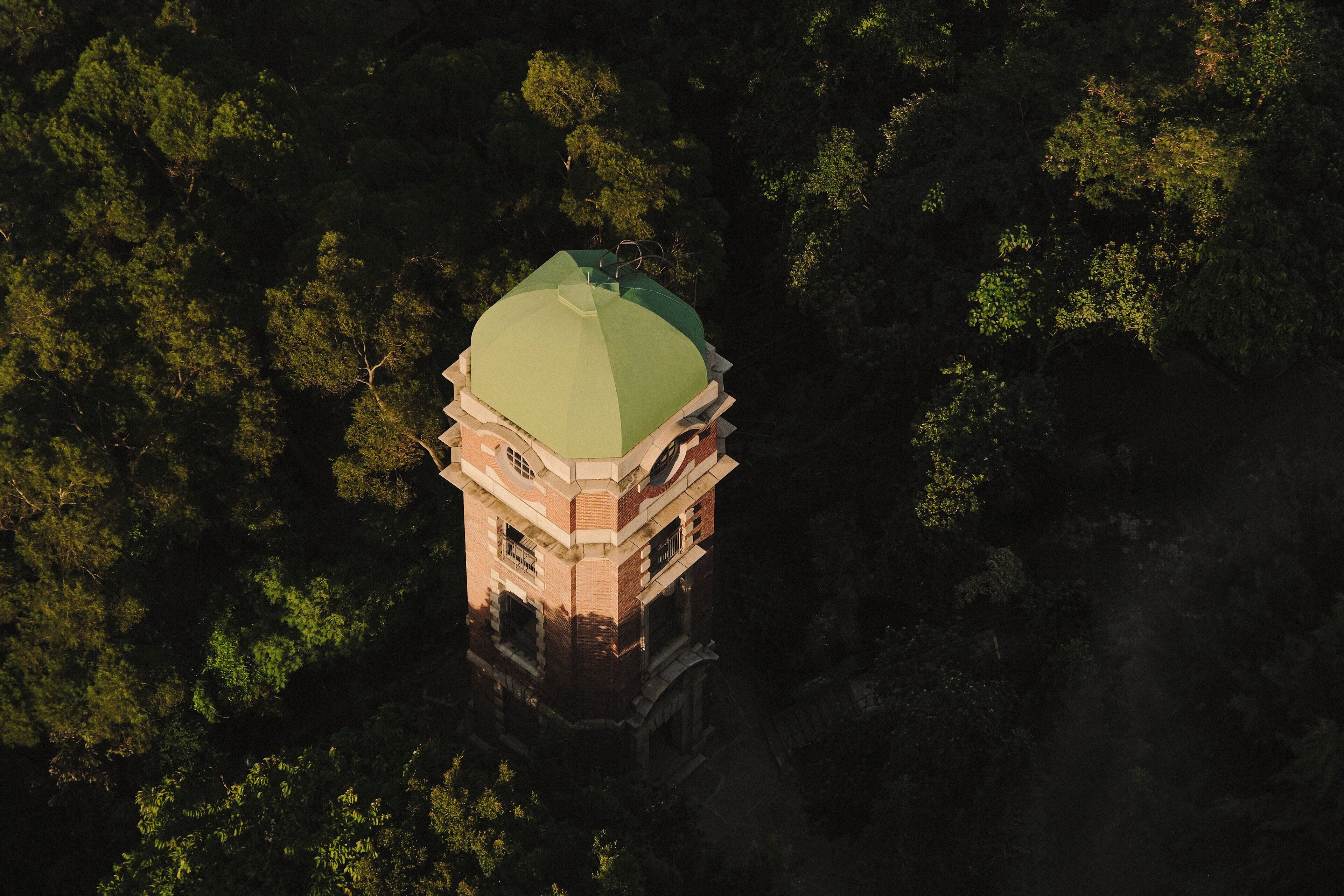 A tower with a green roof surrounded by dense forest.