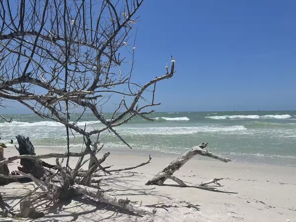 Liegestühle, Strandtücher