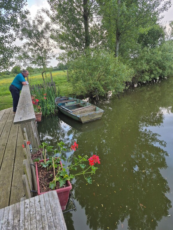 Property grounds - Quiet house in the countryside; suitable for PMR. 15mn from Angers, Le Lion d'Angers. (Erdre-en-Anjou)