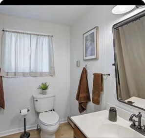 A bathroom with a toilet, sink, and mirror. - sleeps six, close to slopes, hot tub and game room private hot tub (Albrightsville)