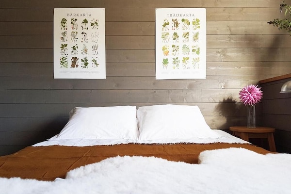 Classic Single Room, Courtyard View | Wheelchair access