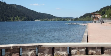 Vista desde la propiedad