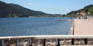 A waterfront view with a dock, a wooden building, and a forested hillside. - Lannexe By La Réserve (Gerardmer)