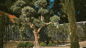 A stone pathway leading to a tree-lined area with a metal fence and a lamp post. - The Ascents of Urla (Urla)