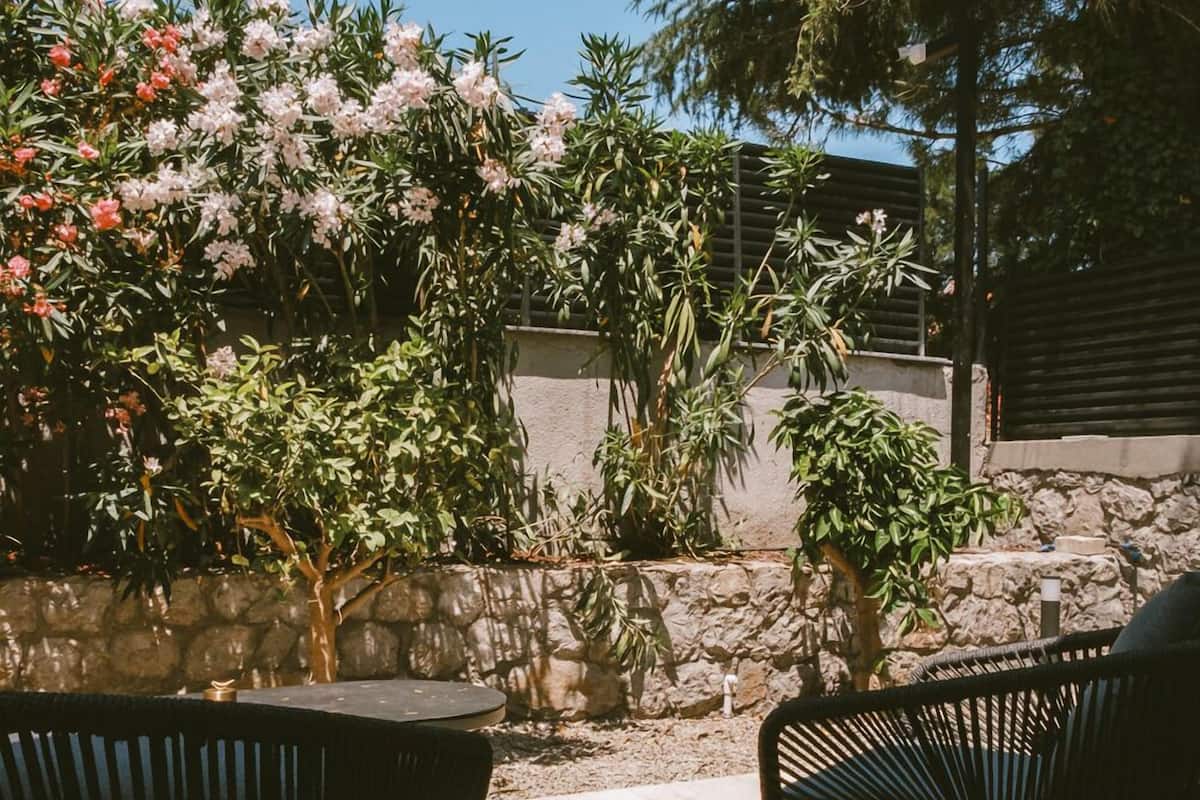 An outdoor patio area with two black wicker chairs, a stone wall, and various plants including flowering shrubs.