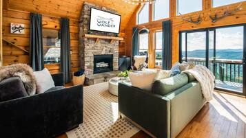 Smart TV, fireplace, books, computer monitors