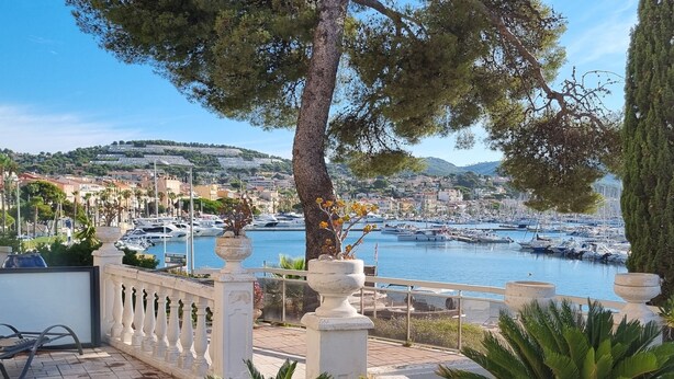 A coastal view with a marina, buildings, and a tree in the foreground. - Facing the port, lovely studio on raised ground floor with large terrace, panoramic view (Bandol)