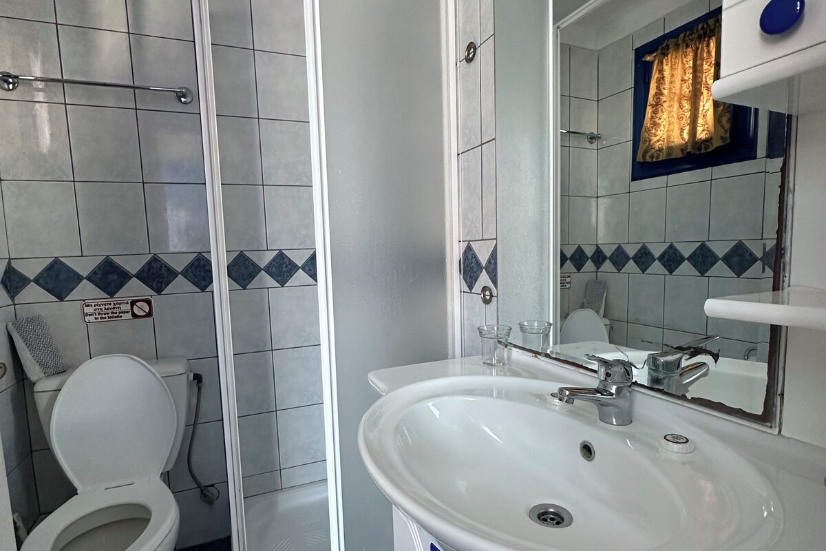 A bathroom with a white toilet, a sink, and a shower enclosure.