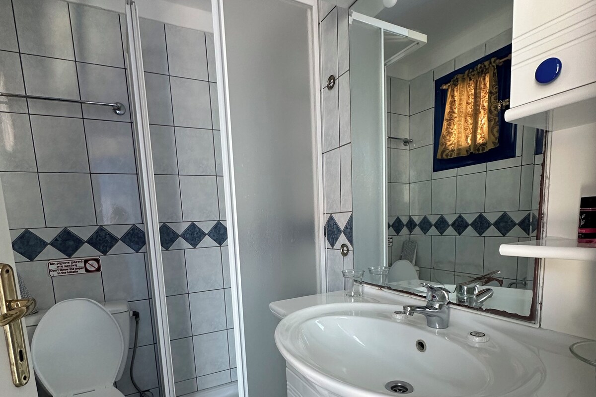 A bathroom with a white toilet, a shower enclosure, a sink with a mirror, and blue-tiled flooring.