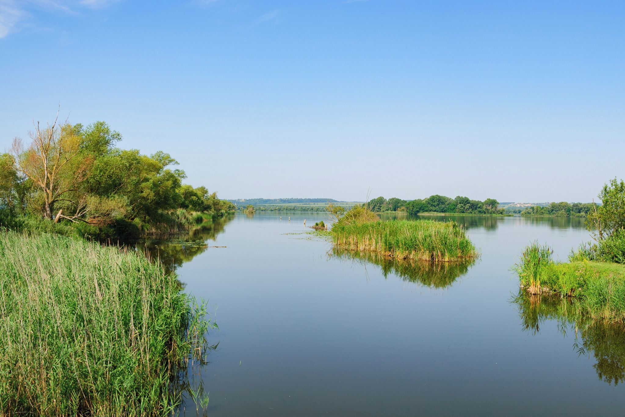 A calm river with dense greenery and trees on both sides.