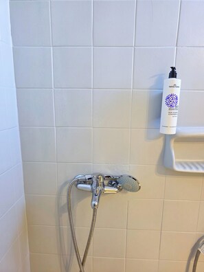 Douche, sèche-cheveux, serviettes fournies, savon