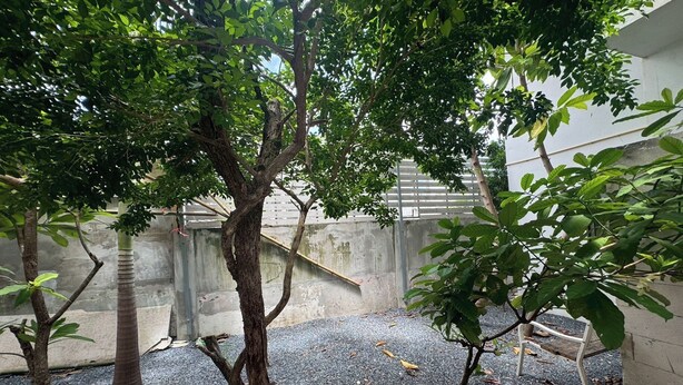 A courtyard with trees, gravel ground, and a concrete wall. - Sukhum Mega Bangna Guest House By Zuzu (Bangkok)