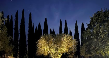 Vacation home with pool in Tuscany - enjoy relaxation, style and nature!