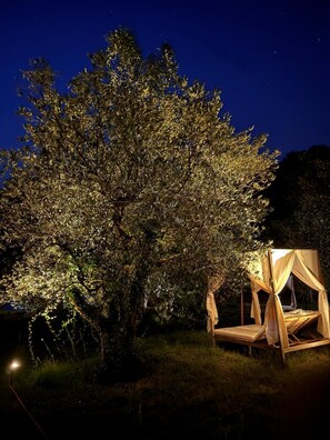 Property grounds - Vacation home with pool in Tuscany - enjoy relaxation, style and nature! (Toscana)