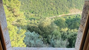 A view from a room through a window overlooking a forested hillside.
