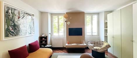 TV, video games, DVD player, books