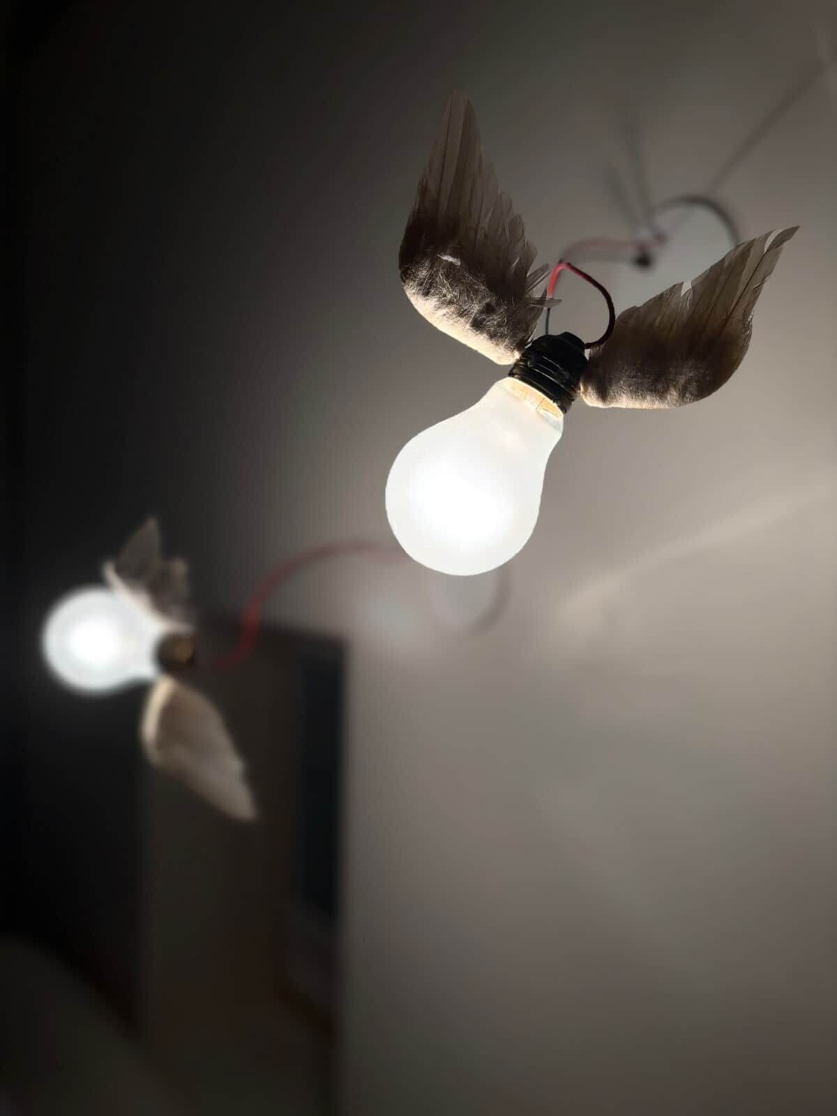 A light fixture with a bird design, a visible power cord, and a blurred background.