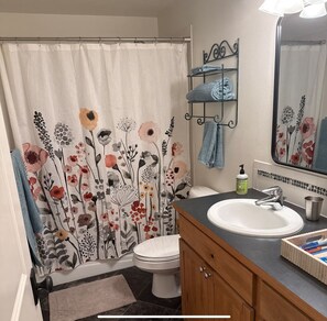 Hair dryer, towels, soap, toilet paper