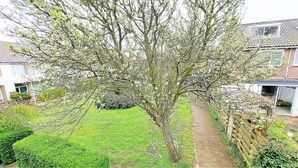 Un jardin résidentiel avec un chemin menant à une maison.