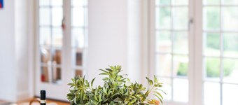 Charming 5-bedroom farmhouse with AC and fitness room in lovely Solrød Strand