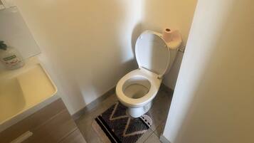 Douche, serviettes fournies, savon, papier toilette