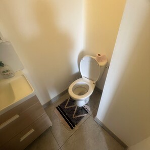 Shower, towels, soap, toilet paper