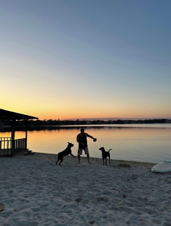 Cena de praia com uma pessoa e dois cães brincando perto de águas calmas ao pôr do sol.