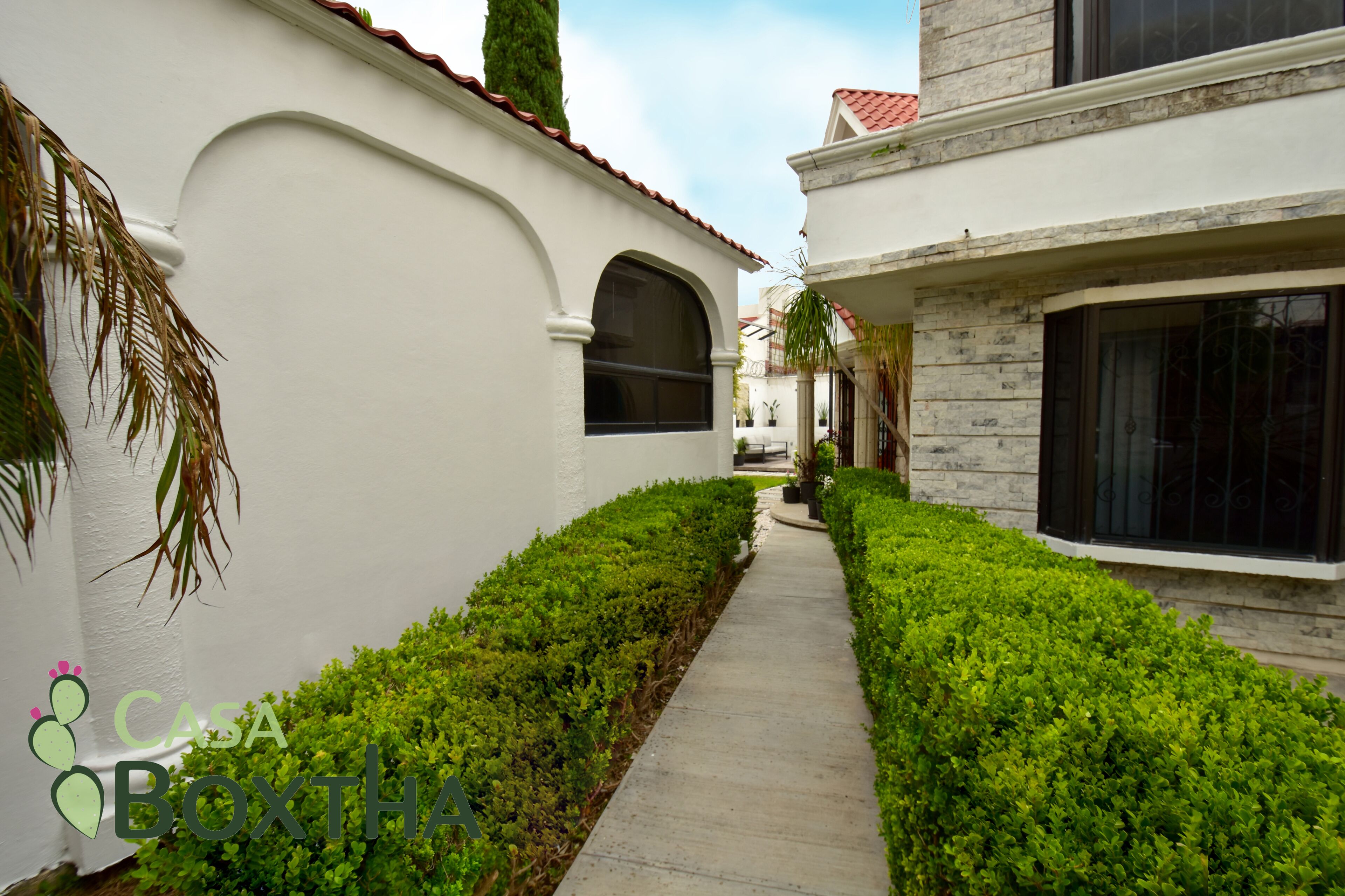 A narrow pathway flanked by well-maintained hedges and a white building with a red-tiled roof.