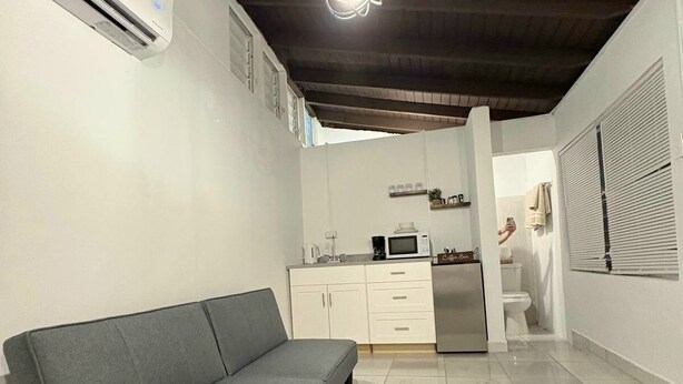 Un ambiente compatto con un divano grigio, un angolo cottura e un bagno.