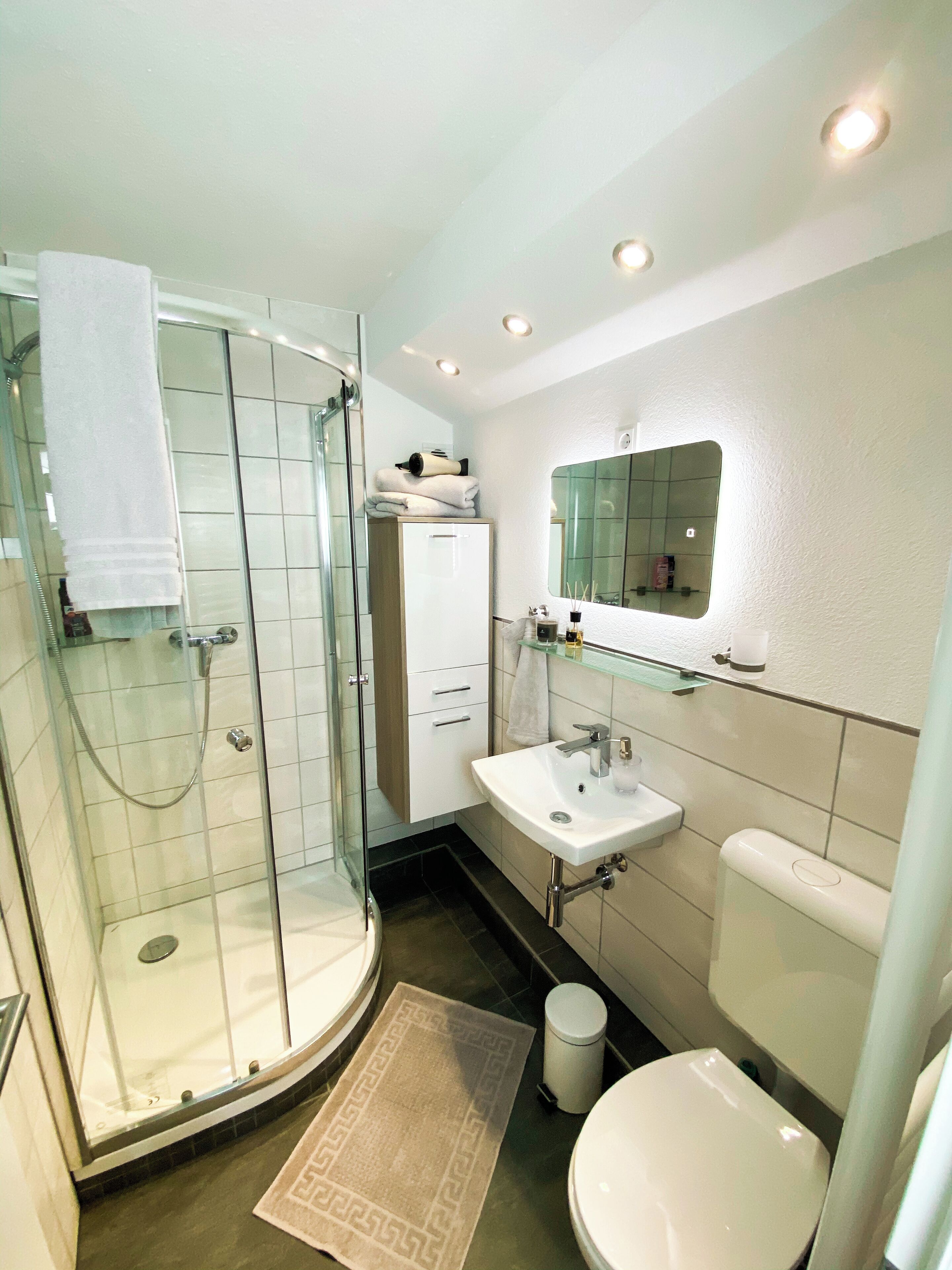 Hair dryer, towels, soap, toilet paper