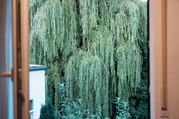 A view through an open door of a building with a large weeping willow tree in the background.