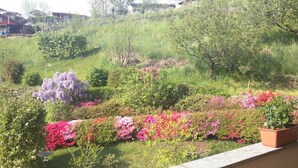 Ein Garten mit verschiedenen blühenden Pflanzen und Bäumen, ein Topf mit einer Pflanze auf einem Balkon und eine solarbetriebene Außenleuchte.