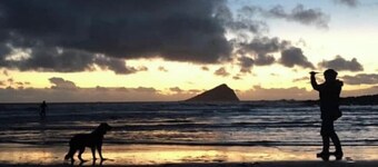 Coastal Home moments from Wembury Beach