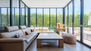 Télévision, cheminée, livres, chaîne hi-fi