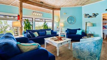 TV connectée, cheminée, jeux vidéo, livres