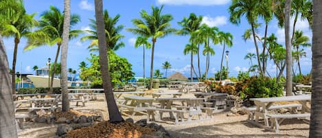 A beachside area with palm trees, picnic tables, and a boat dock.