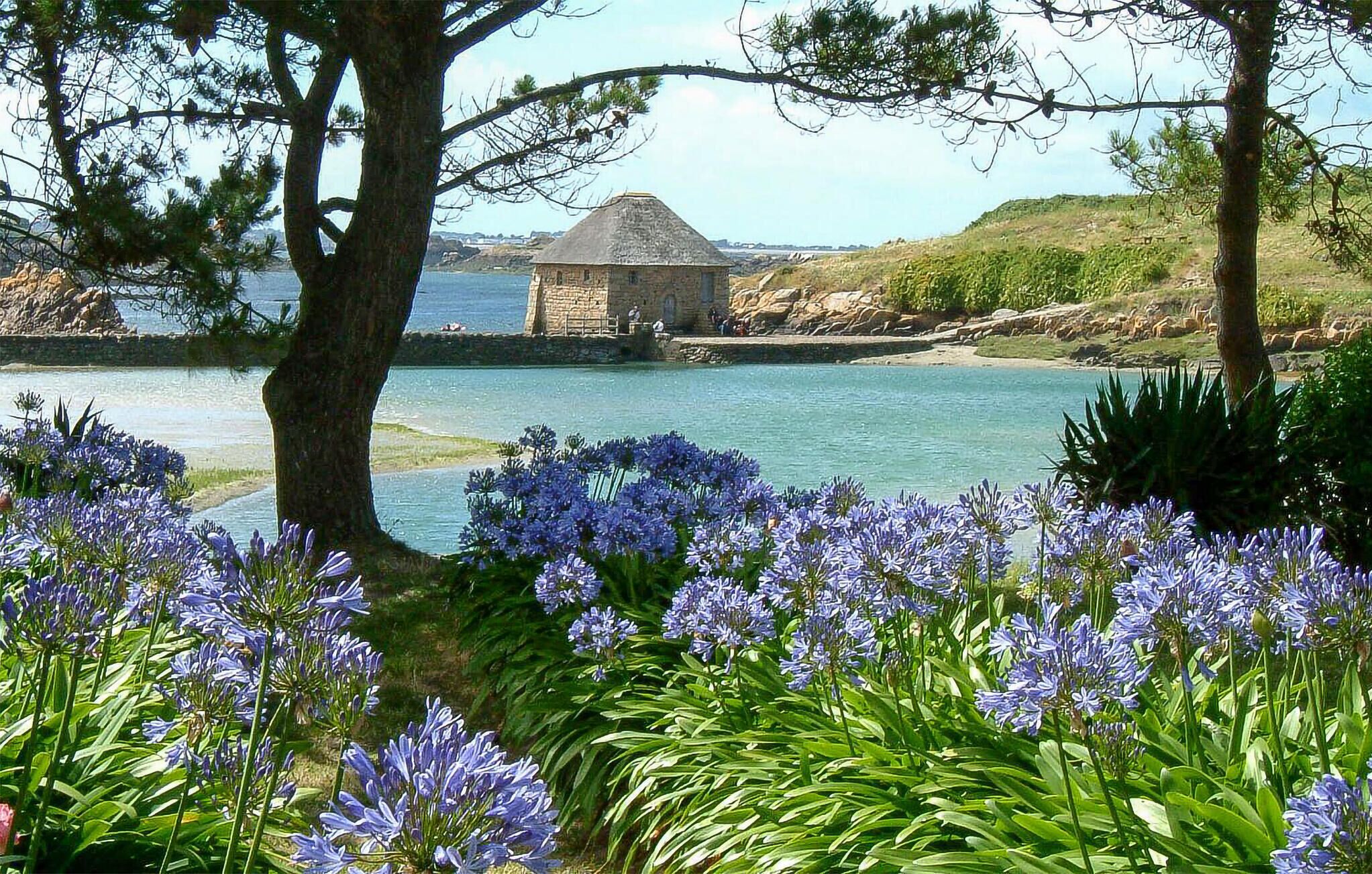 A stone building with a conical roof by a calm body of water, surrounded by lush greenery and purple flowers.
