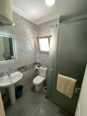 Een douche, een bidet, handdoeken, zeep