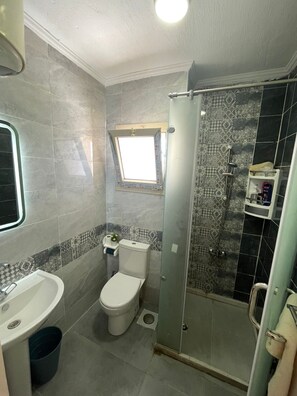 Shower, bidet, towels, soap