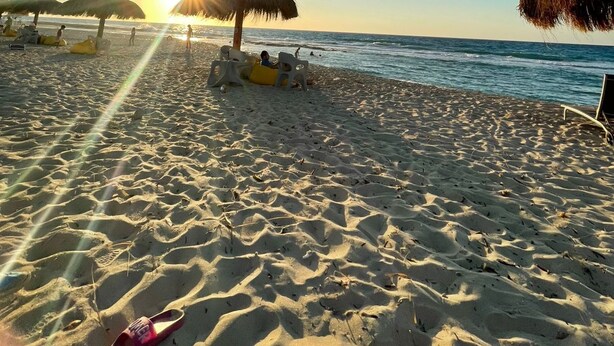 Een strand met rieten parasols, ligbedden en een heldere lucht.