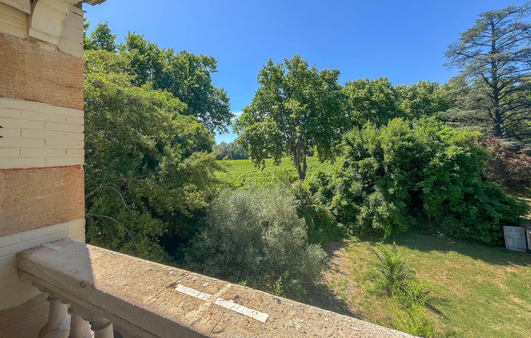 A balcony with a view of a lush garden and trees.