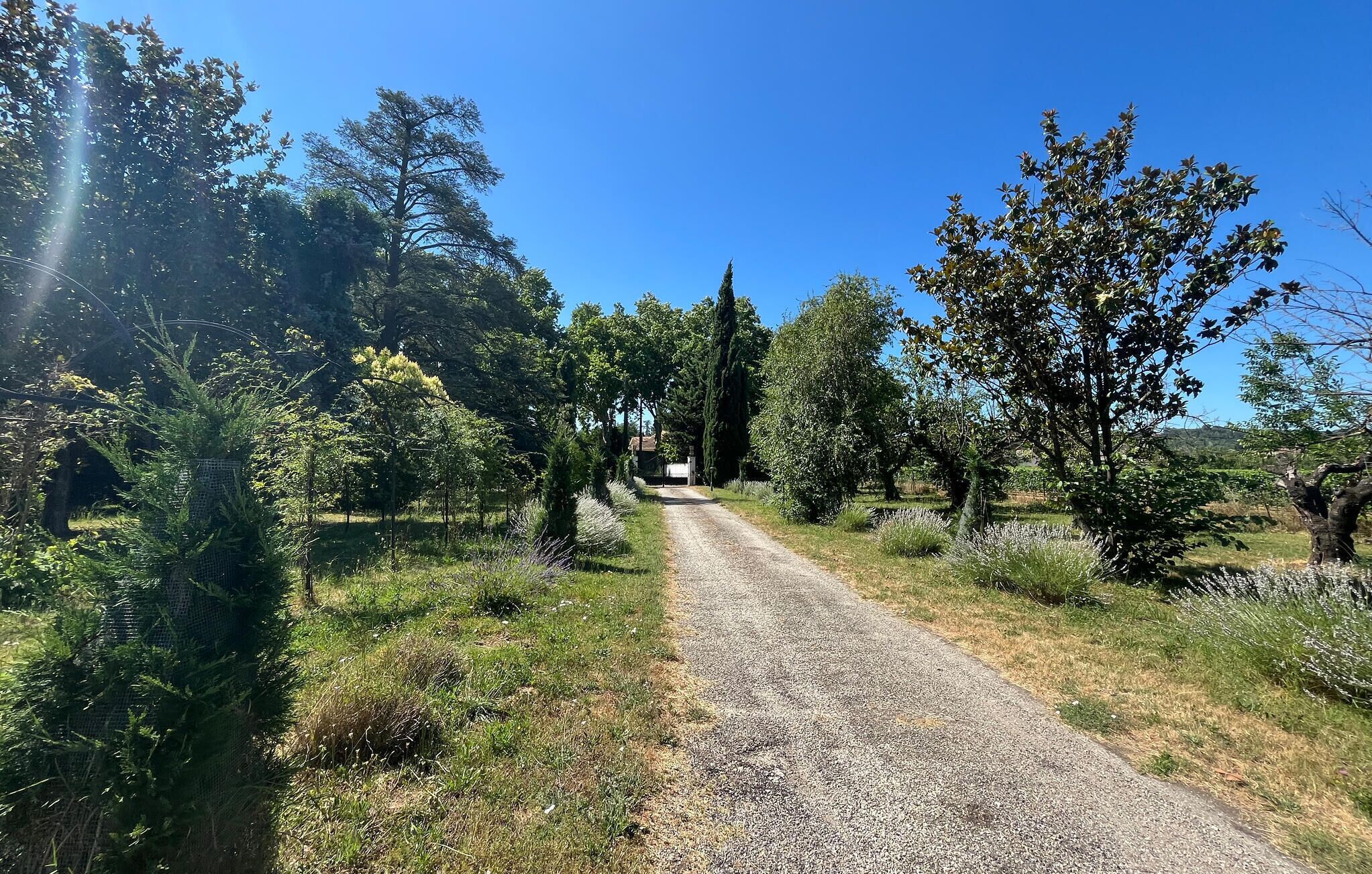 A gravel path leading through a rural area with trees and a clear blue sky.