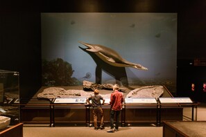 Miscellaneous - Hyatt Place Bozeman Yellowstone Airport (Belgrade)